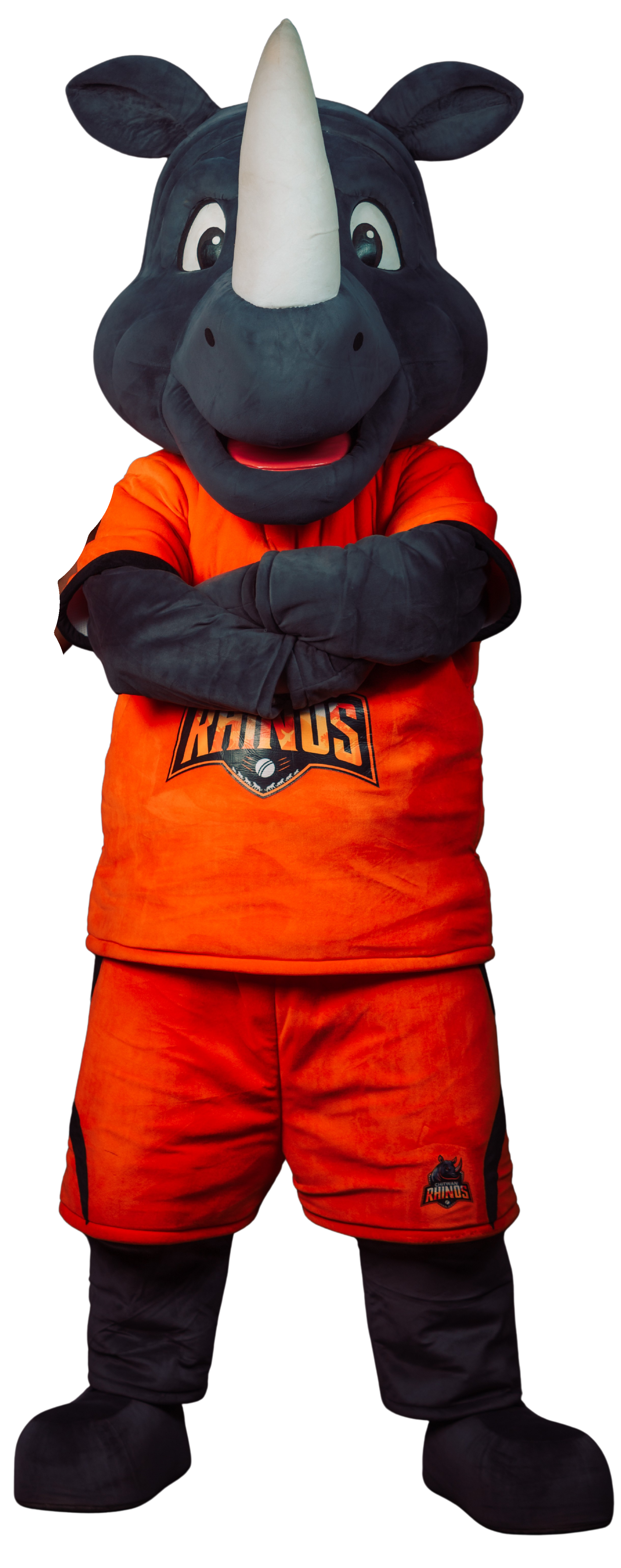 Footer Rhino Texture